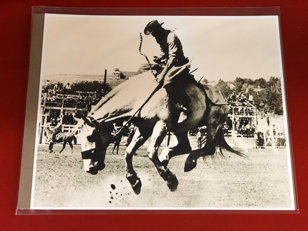 RDR Vintage Bronc Poster