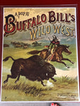 RDR Buffalo Bill Poster